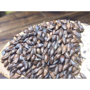 素材そのまま　自然のうまみ調味料　さとの豊味 黒糖バージョン2袋