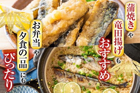【北海道根室産】冷凍さんま40尾 C-70002