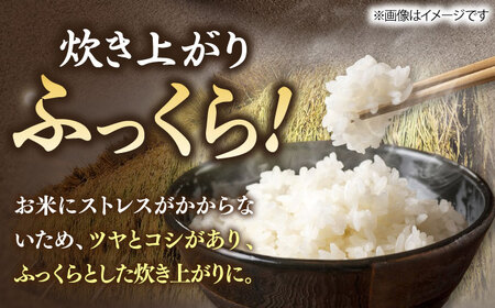 壱岐産米 にこまる 5kg [JDW152] 米 白米