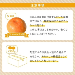 ZE6482_【2026年先行予約】【秀品】和歌山県産　有田みかん 約1kg （S～Ｌサイズ混合）【まごころ手選別】