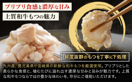もつ鍋 醤油味 セット 薬味付き ちゃんぽん麵 博多笑樂 2～3人前 地域商社ふるさぽ《90日以内に出荷予定(土日祝除く)》福岡県 鞍手郡 小竹町 もつ 鍋 牛モツ 醤油