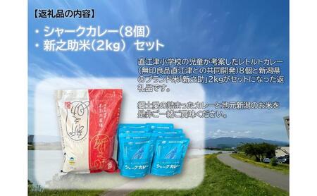 直江津小学校の児童が考えたシャークカレー（180g×8個）  新潟県上越市産米の新之助（2kg） セット レトルト カレー 米 上越市