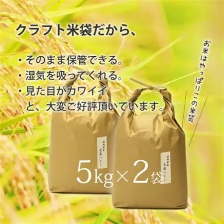 令和7年産 福岡県産「元気つくし」5kg×2袋 [10kg] [白米]【1687988】