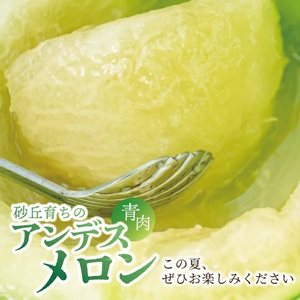 SZ0323　アンデスメロン　約3kg(青肉/2玉入/つる付き)