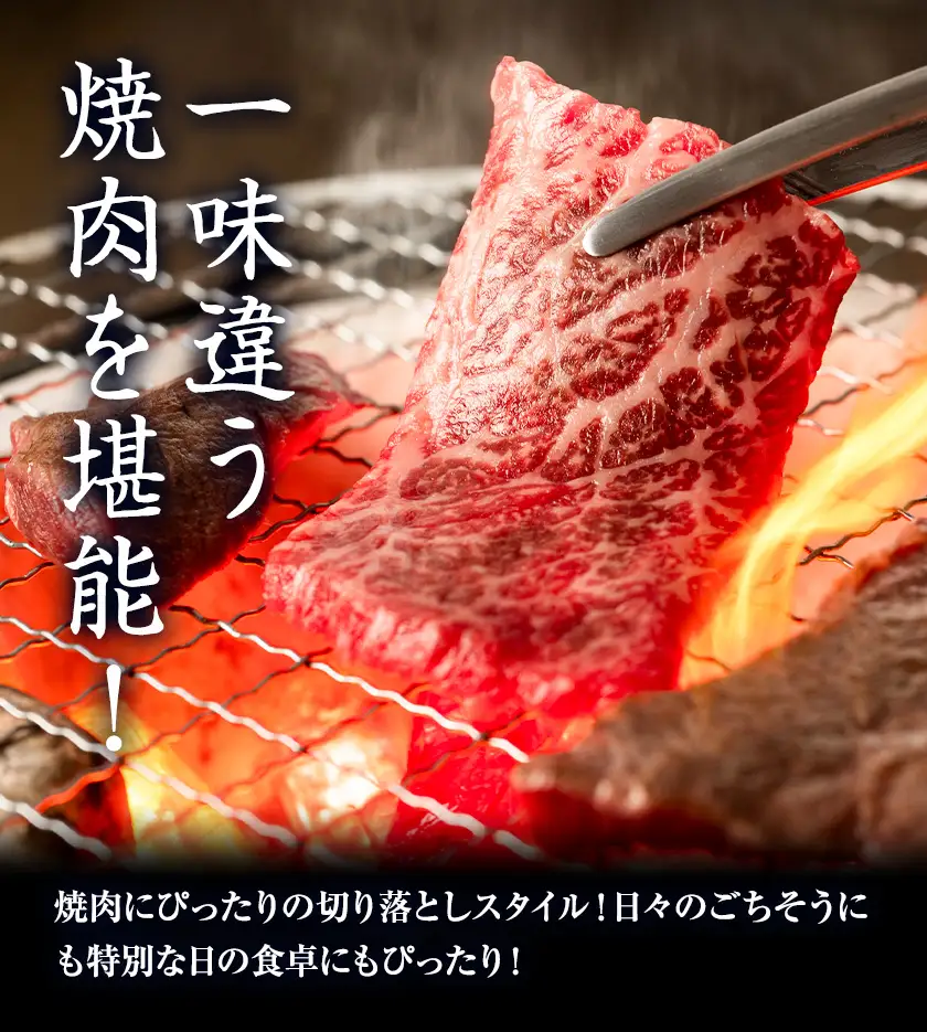 GI認証取得 くまもとあか牛 焼肉用 切り落とし 300g×2パック 合計600g あか牛 切落し 牛肉 肉 国産 九州産 熊本県産 冷凍《30日以内に出荷(土日祝除く)》