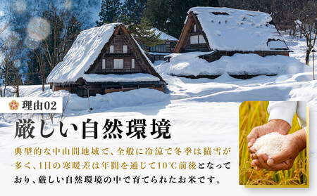 【先行受付】令和8年産新米 飛騨コシヒカリ５kg | 新米 米 ごはん おいしい もっちり 飛騨高山 船場農園 つむぎ果樹園 GH015