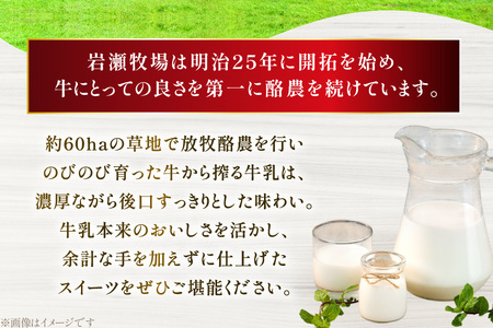 レアチーズケーキ mowmo 2種 4個 セット レモン ブルーベリー [岩瀬牧場 北海道 砂川市 12260956]