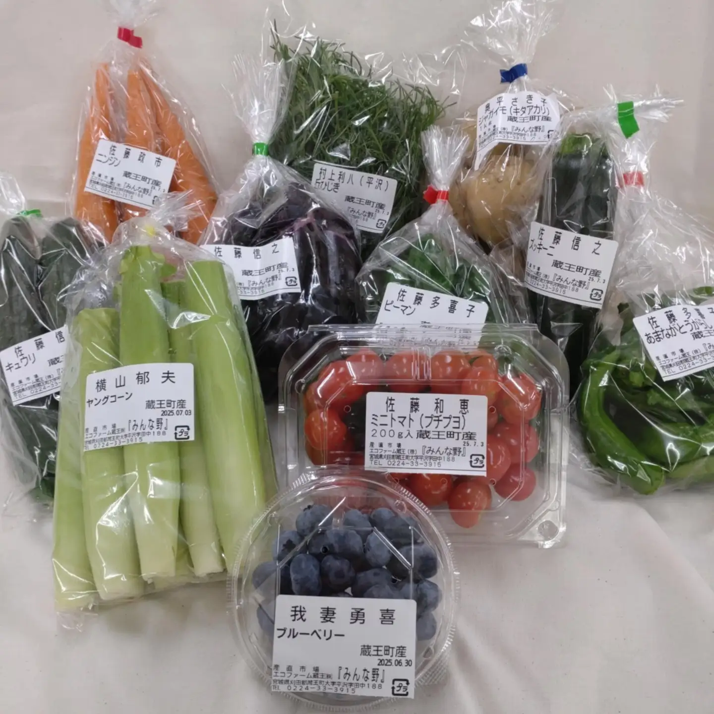 【3か月定期便】＜令和7年産米＞蔵王源流米5kg＆季節の恵みセット(3～5品程度)　【04301-0138】
