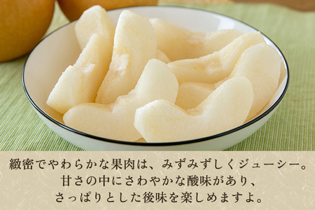 【2026年先行予約】【贈答用】和梨 新興 3kg（5～6玉）《10月中旬～順次出荷》 しんこうなし 果物 フルール ナシ 新潟産 加茂市 入江果樹園 