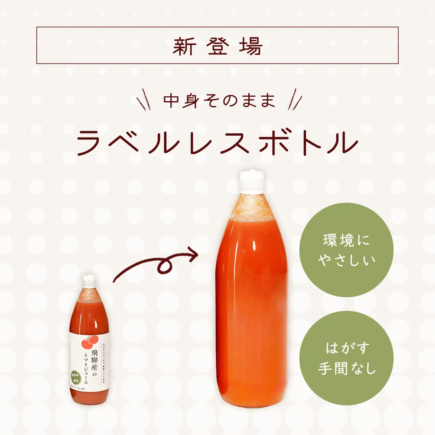 先行予約（2026年8月から順次発送）【ラベルレス】飛騨産 100％ 無添加トマトジュース（1L×2本入り）【113-9】