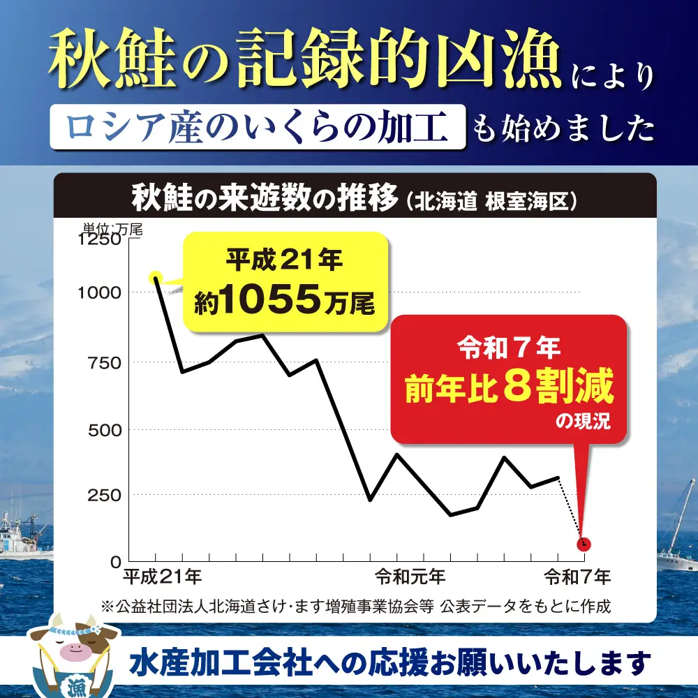 ロシア産・鮭いくら醤油漬け500g MT002TY00