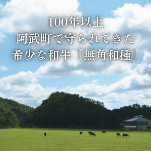幻の和牛、無角和種に会いにいこう!！「見て・触れて・食べる」を2時間半でまるっと体験！【無角和種堪能ツアー】※体験チケット2名様分