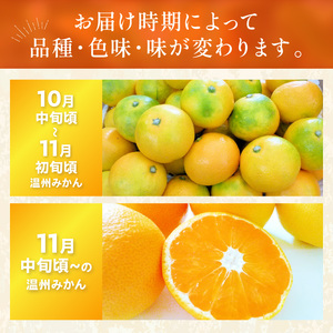 【0059-3】「濃厚な味のとろける美味しさ」温州みかん 10kg《先行予約》
