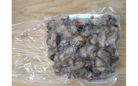 ボイルエゾバイ　500g【エゾバイ　磯つぶ　イソツブ　つぶ貝　ツブガイ　簡単　便利　冷凍　茹で　国産　太平洋産　北海道産】(0110)