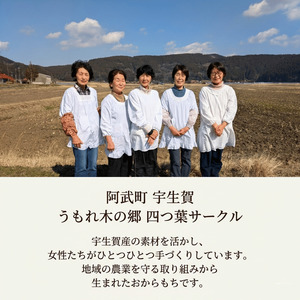 【先行予約】阿武町産 手作り おからもち | お届け：2026年10月中旬以降順次発送予定 切り餅 おから 国産