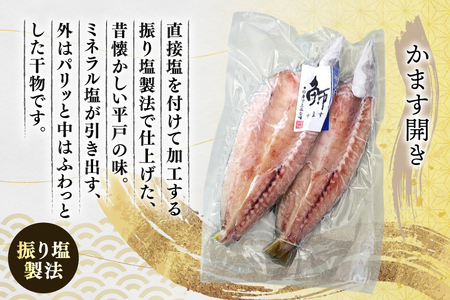 干物 長崎 平戸 あじ かます 6枚 セット 詰め合わせ [篠崎海産物店 長崎県 平戸市 hr42bgy410222]