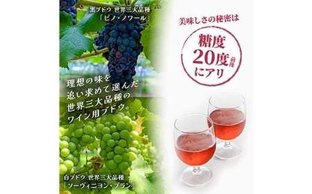飲みやすいロゼスパークリングワイン ユタカーナ（750ml）1本 ぶどう ブドウ 葡萄 お酒 アルコール飲料 ピノ・ノワール ソーヴィニヨン・ブラン ロゼ F6P-3162
