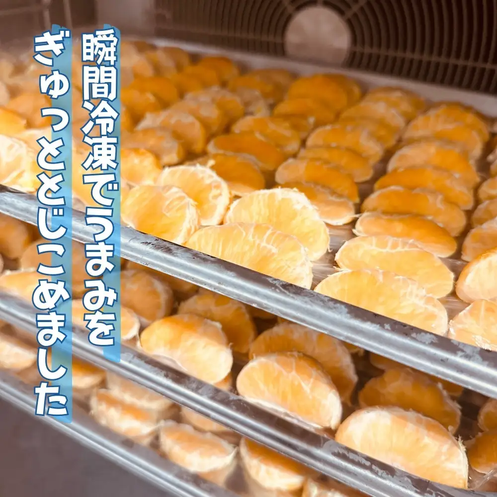 冷凍 不知火 （しらぬい） 70g × 10袋 ひとくちデザート カチウマ スイーツ 果物 旬の味わい 和歌山県産不知火100%