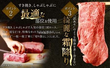 【2025年9月初登場】 佐賀牛 リッチな霜降り 大判 切り落とし 500g  ／ 黒毛和牛 黒毛和種 和牛 牛肉 お肉 肉 霜降り 九州 福岡県 太宰府市 冷凍