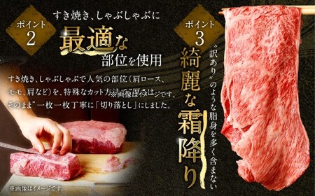【2025年9月初登場】 佐賀牛 リッチな霜降り 大判 切り落とし 1.5kg （500g×3） ／ 黒毛和牛 黒毛和種 和牛 牛肉 お肉 肉 霜降り 九州 福岡県 太宰府市 冷凍