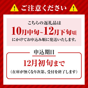 【2026年産】先行予約 梨 晩生梨 （ 新興梨 王秋梨 愛宕梨 のいずれか ） 5kg 7～13玉 【令和8年10月中旬以降発送予定】 フルーツ 果物  12-24