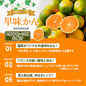 ＜定期便・年4回＞旬の福岡 フルーツ定期便(あまおう1kg/とよみつひめ1.2kg/早味かん3kg/甘うぃ3.6kg) いちご 苺 あまおう いちじく イチジク 無花果 みかん ミカン 蜜柑 キウイ あまうい 甘うい フルーツ 果物 定期便 頒布会【農産物直売所ほたるの里】as52-033