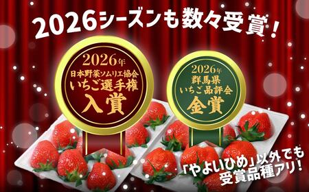 いちご やよいひめ 500g × 1パック いちご 群馬県 前橋市