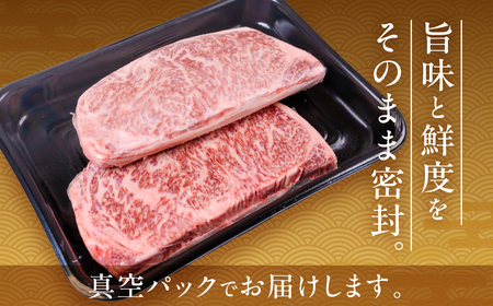 飛騨牛 サーロインステーキ 500g(250g×2)| ステーキ