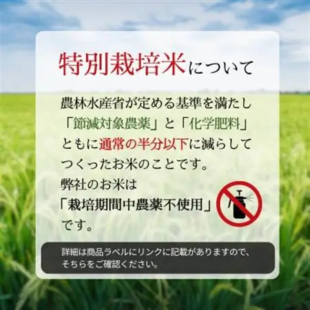 令和7年産　特別栽培米にじのきらめき 精米　10kg(5kg×2袋)【1697555】