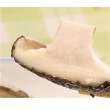 徳島県産菌床生椎茸　しいたけ侍　20枚入【配送不可地域：離島】【1714390】