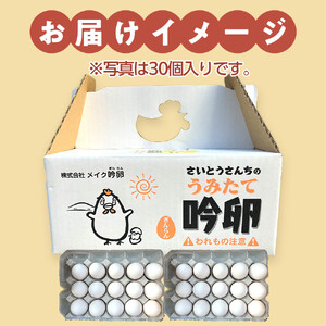 【6回定期便】さいとうさんちのうみたて吟卵　40個入り