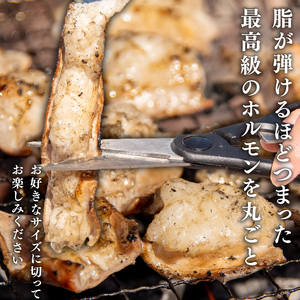 近江牛 ホルモン 1.6kg カットなし