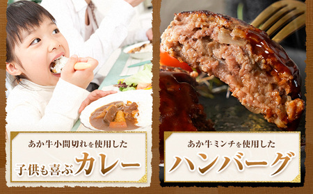 GI認証 くまもとあか牛 小間切れ ミンチ セット 合計400g 民宿 山の里《60日以内に出荷予定(土日祝除く)》熊本県 産山村 あか牛 パック おかず 夕飯