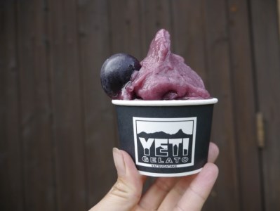 八ヶ岳の旬をお届け!!素材本来の味にこだわった 手作りジェラート(120ml×10)　ジェラート アイス 手作りジェラート ジャージー牛乳 フルーツ 旬の食材 10cup 詰め合わせ 人気 YETI GELATO バレンタイン チョコ以外 ホワイトデー お返し [h076]