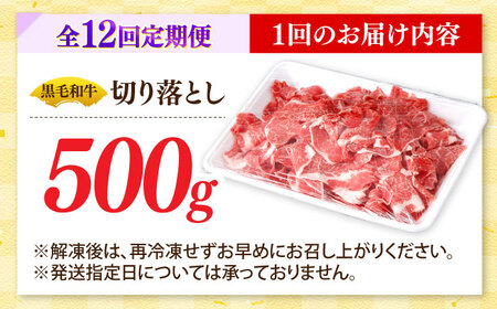 【12回定期便】国産 黒毛和牛 熟成肉 切り落とし 500g / 小分け 国産牛 お肉 牛肉 切落し 冷凍 焼肉 すき焼き / 南島原市 / ふるさと企画[SBA099]