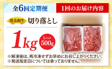 【6回定期便】国産 黒毛和牛 熟成肉 切り落とし計1kg(500g×2パック)/ 小分け 国産牛 お肉 牛肉 切落し 冷凍 焼肉 すき焼き / 南島原市 / ふるさと企画[SBA096]