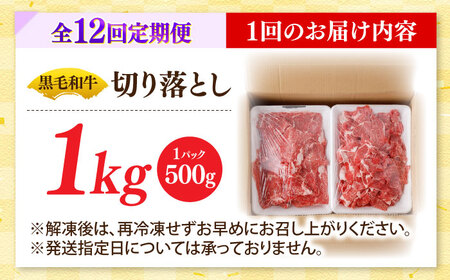 【12回定期便】国産 黒毛和牛 熟成肉 切り落とし計1kg(500g×2パック)/ 小分け 国産牛 お肉 牛肉 切落し 冷凍 焼肉 すき焼き / 南島原市 / ふるさと企画[SBA097]