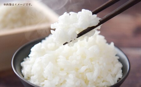 【 令和7年産 】 中央市産 コシヒカリ 5kg 米 お米 白米 精米 こしひかり 国産 山梨県産 ご飯 白飯 おにぎり