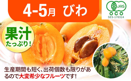 【3回定期便】フルーツ定期便（あまおう/びわ/桃） 広川町 / JAふくおか八女農産物直売所どろや[AFAB089]