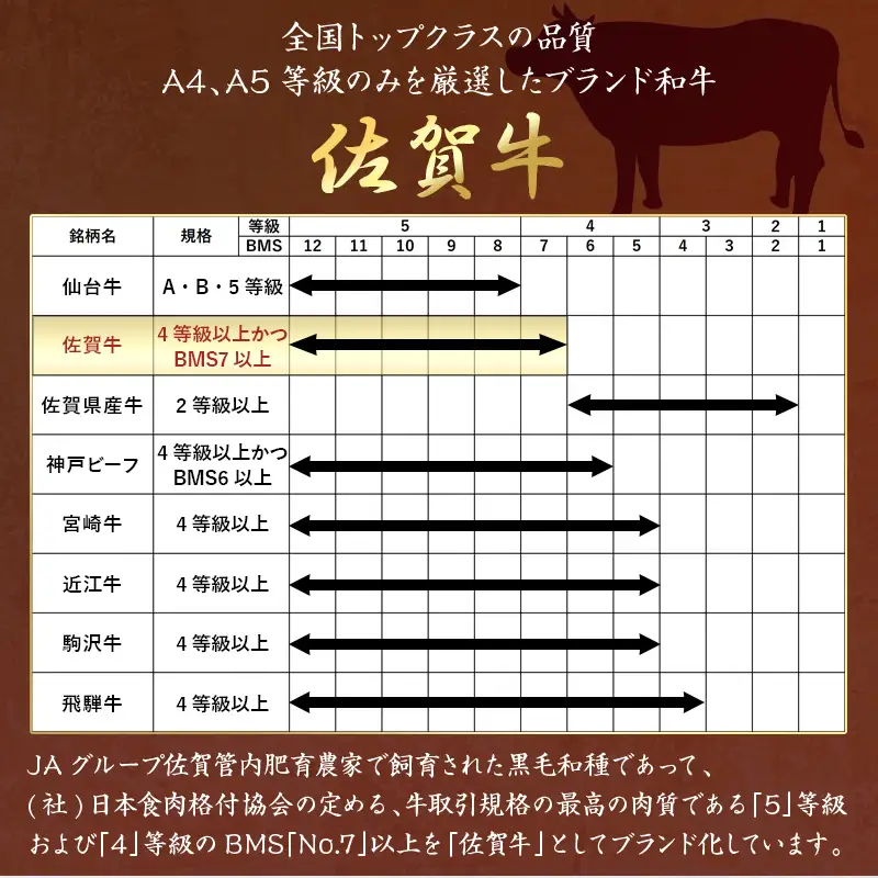 A4～A5等級限定 佐賀牛リブロースステーキ 300g×2枚(合計600g) A4 A5 国産 牛肉 霜降り ブランド牛 ステーキ BBQ 焼肉 キャンプ アウトドア 贈り物 ギフト