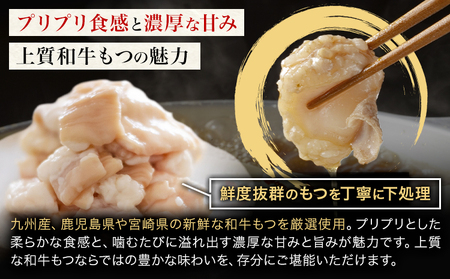 もつ鍋 醤油味 セット 薬味付き ちゃんぽん麵 博多笑樂 2～3人前 地域商社ふるさぽ《90日以内に出荷予定(土日祝除く)》福岡県 鞍手町 もつ 鍋 牛モツ 醤油