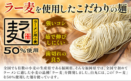 ラーメン 一風堂 白丸 ラー麦麺 セット 2食 地域商社ふるさぽ《90日以内に出荷予定(土日祝除く)》福岡県 鞍手町 ラーメン とんこつ 豚骨スープ 豚骨ラーメン ラー麦 麺