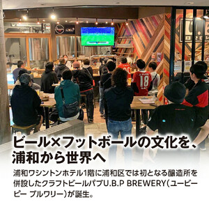 U.B.P BREWERY クラフトビール詰め合わせ　3種×2本【11100-1953】