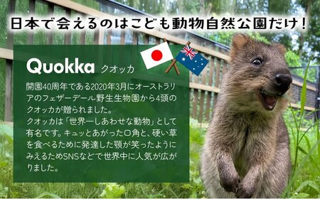 年間パスポート 埼玉県こども動物自然公園 小人1名 | 年間パスポート 動物園