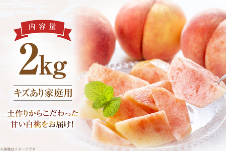 【期間限定発送】 桃 さくら白桃 訳あり 2kg 家庭用 [東城農園 山形県 高畠町 tk06ayt370005]