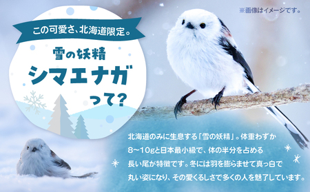 クリアファイル シマエナガ T042-021 とまチョップ キャラクター ご当地 ファイル