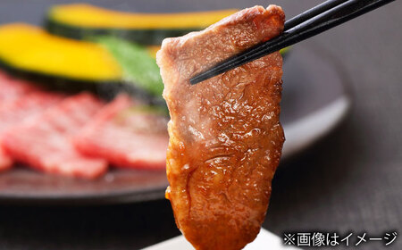 【全3回定期便】長崎和牛カルビ 総計1.5kg （約500g/回）【ながさき西海農業協同組合】 [DBV013][DBV013]
