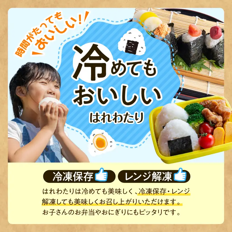 令和7年産 米 5㎏ はれわたり 青森県産 （精米）青森県 五所川原市