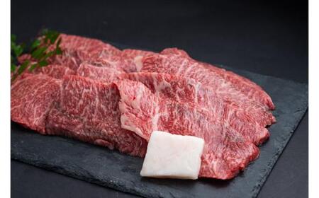 松阪牛焼肉（特選赤身） 500g ／ 冷凍 ギフト箱包装 瀬古食品 JGAP認定 松阪肉 名産 お取り寄せ 牛肉 お肉 肉 和牛 黒毛和牛 国産 国産牛 松阪牛 ブランド牛 A4ランク 焼肉 焼肉用 ギフト 贈答 産地直送 松阪 牛 特選 赤身 霜降り 三重県 大台町 (0034)