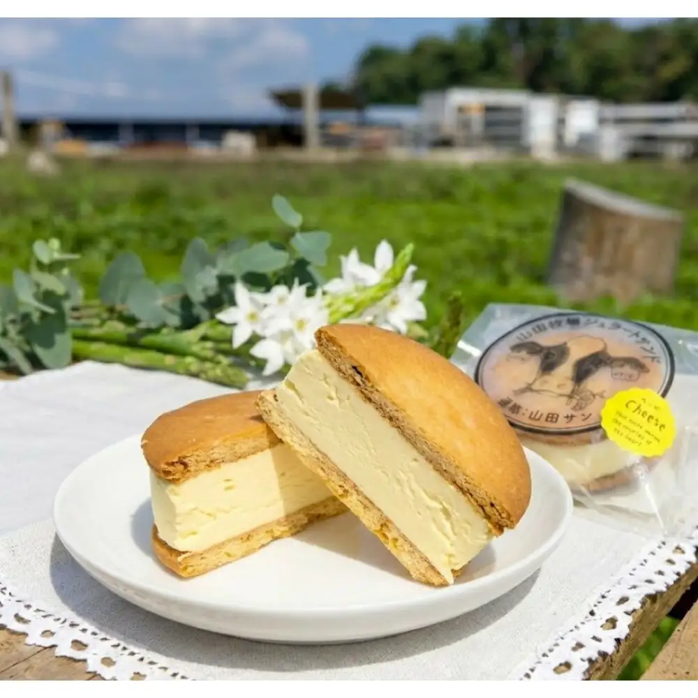 山田牧場ジェラートサンド 6コ入り